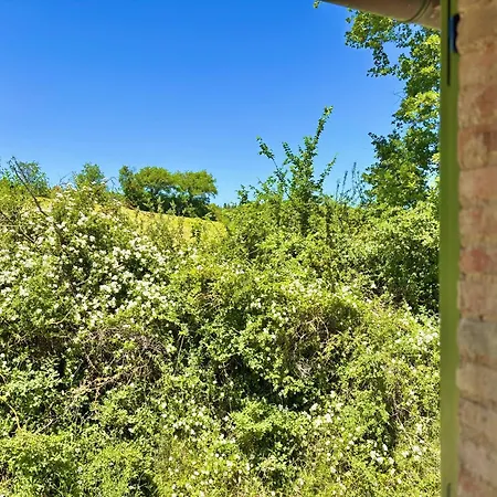 Farm stay Casa Rossa - Francesca Castel Ritaldi